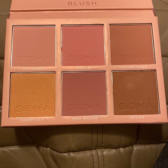 NWOT Blush pallet - Picture 2 of 3